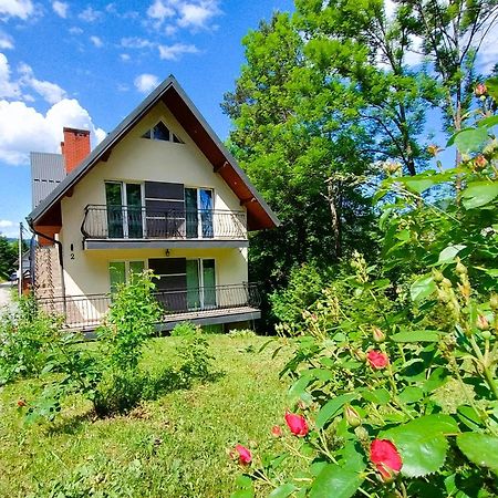 Apartamenty Nad Potokiem Krościenko Exteriér fotografie